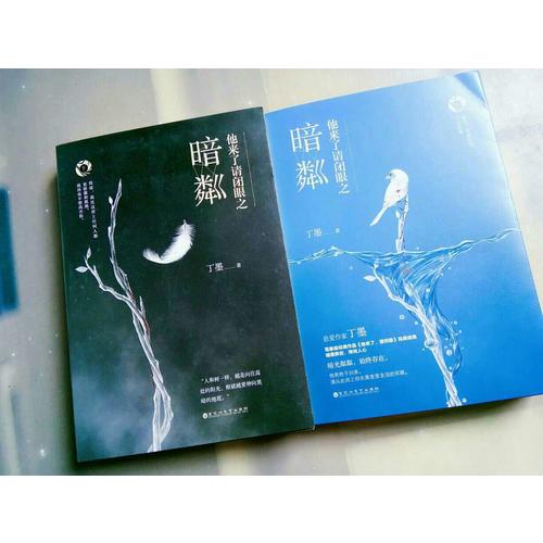 他来了请闭眼之暗粼