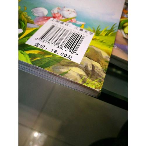 流浪狗和流浪猫