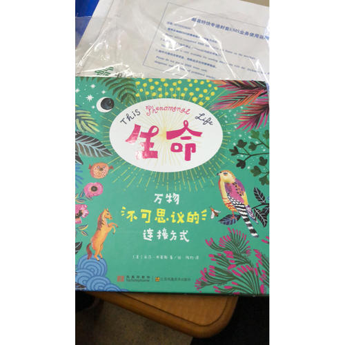 生命 : 万物不可思议的连接方式