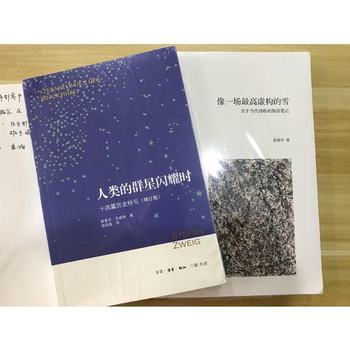 像一场虚构的雪：关于当代诗歌的细读笔记