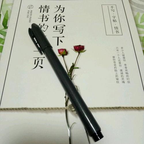 为你写下情书的每一页