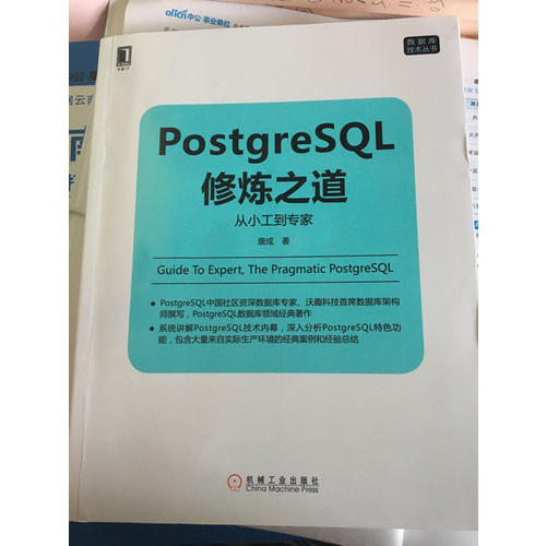 PostgreSQL修炼之道：从小工到专家