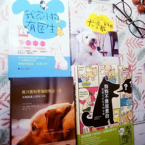 我家小狗有医生