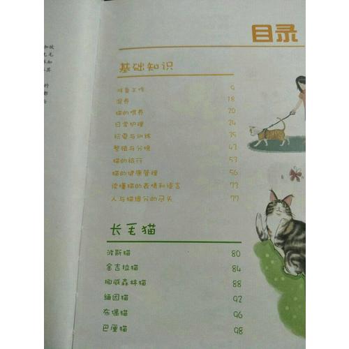 宠物达人绘幸福：我爱猫咪