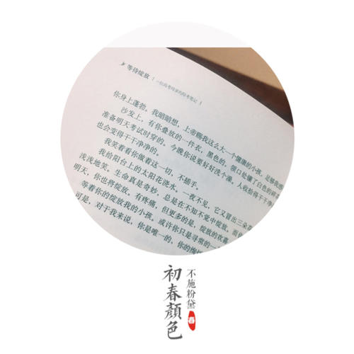 等待绽放：一位高考母亲的陪考笔记（修订版）