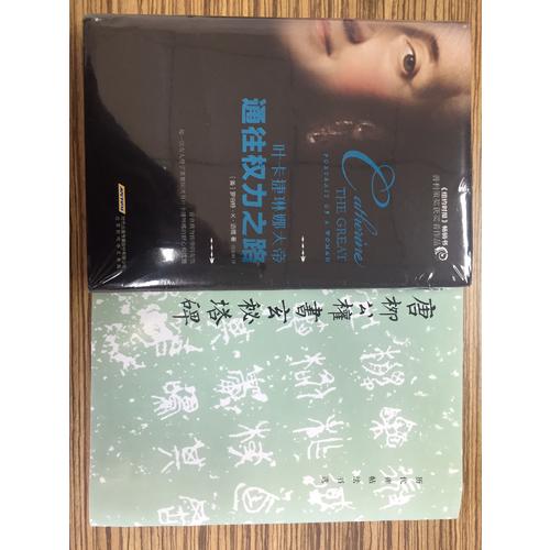 唐柳公权书玄秘塔碑/历代碑帖法书选