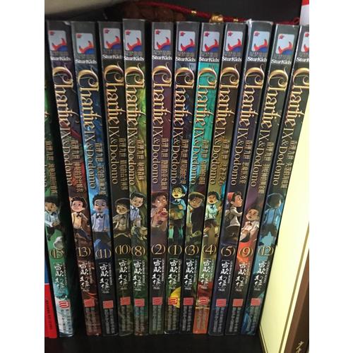 查理九世第四卷13-16（进级版 共4册）