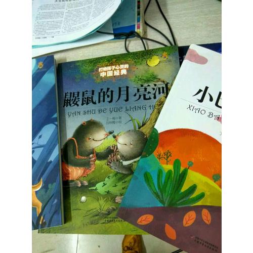 鼹鼠的月亮河（美绘版）