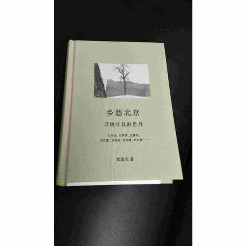 乡愁北京：寻回昨日的世界