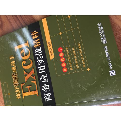 练好套路成高手：Excel商务应用实战精粹