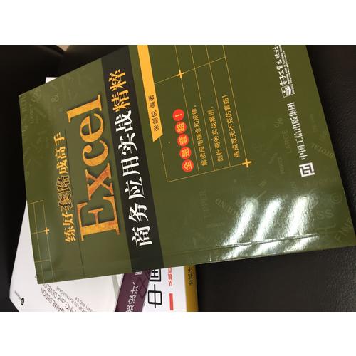 练好套路成高手：Excel商务应用实战精粹