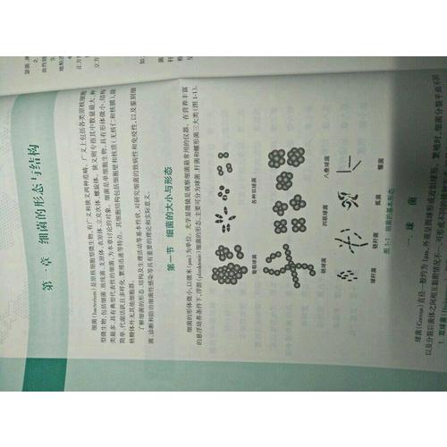 医学微生物学（第3版）