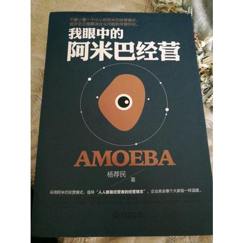 我眼中的阿米巴经营