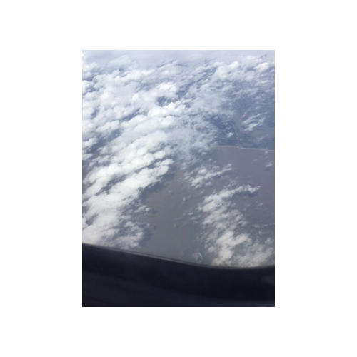 生命的故事：为什么我没有小鸡鸡