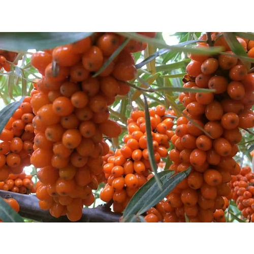 生命的故事：不要随便摸我