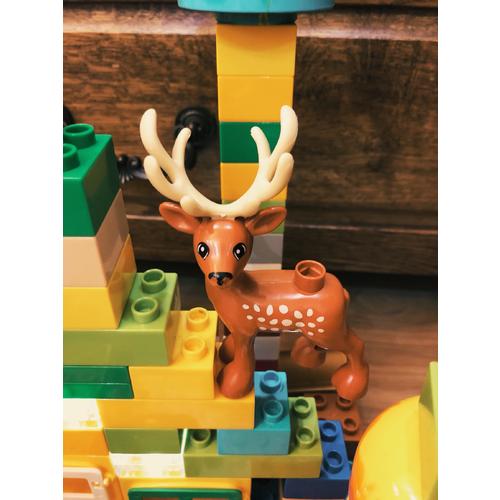 新东方生命教育美语绘本16·人人系列：为何不是我？