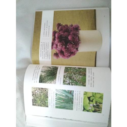 田间四季：从园艺到美食