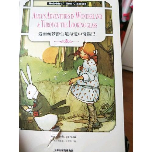 爱丽丝梦游仙境与镜中奇遇记