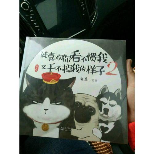 就喜欢你看不惯我 又干不掉我的样子2