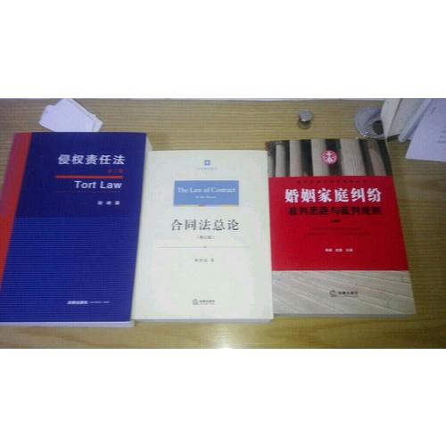 婚姻家庭纠纷裁判思路与裁判规则