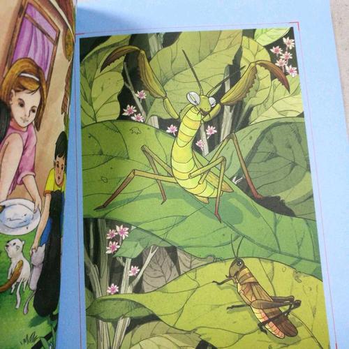 昆虫记 人教统编教材八年级上推荐必读