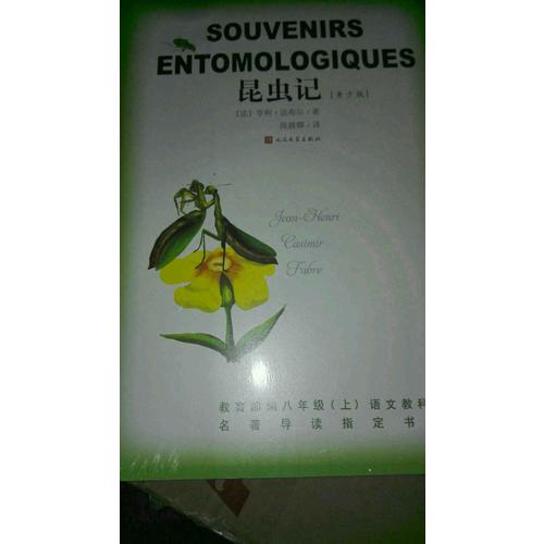 昆虫记（青少版）
