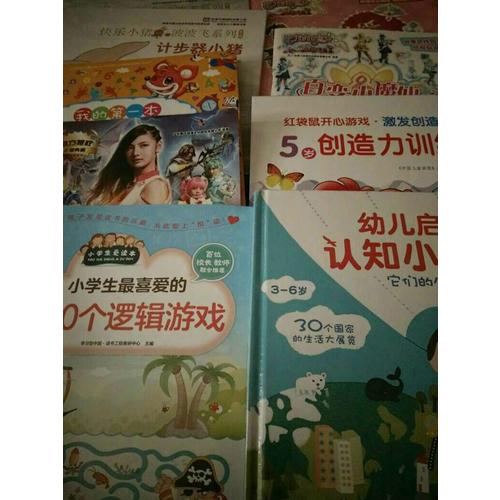 小学生最喜爱的300个逻辑游戏