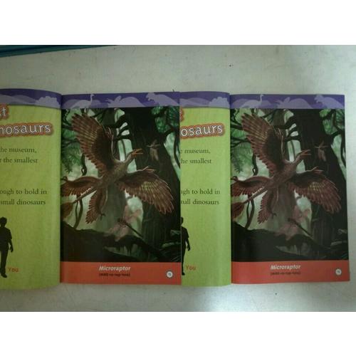 中少阳光绘本馆 我要飞