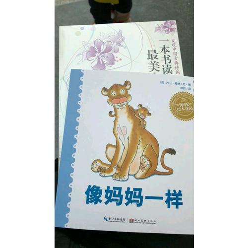 海豚绘本花园：像妈妈一样（平）