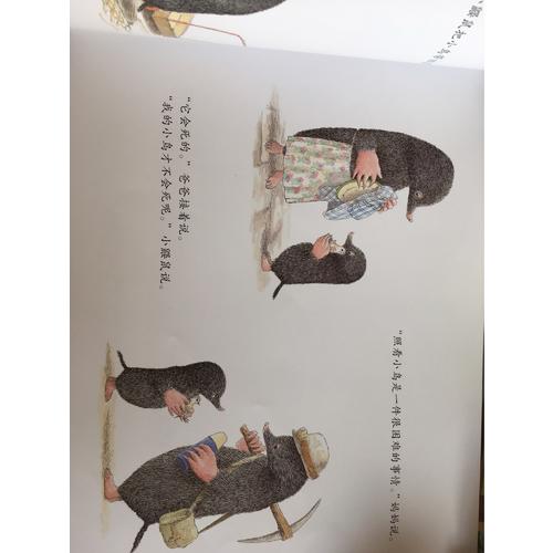 一看再看：鼹鼠和小鸟