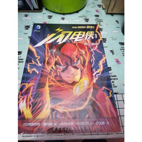 闪电侠1：勇往直前