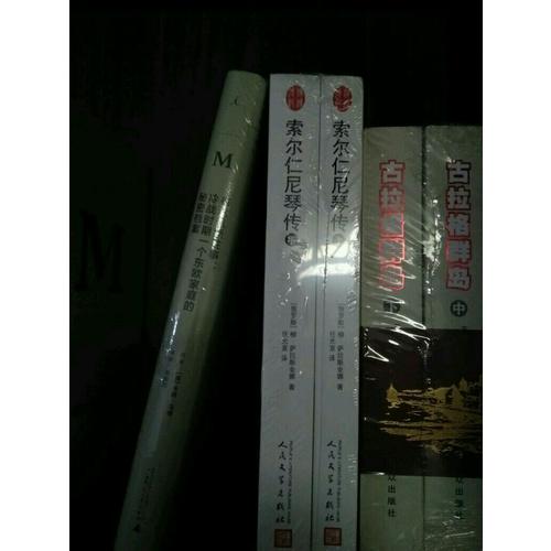 汉译传记丛书：索尔仁尼琴传