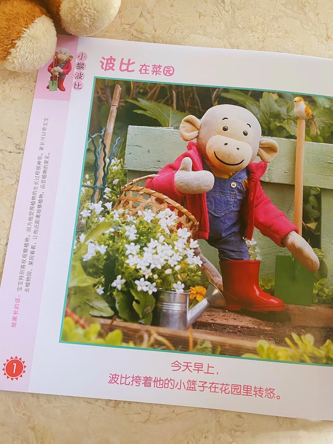 大灰狼画报婴儿版