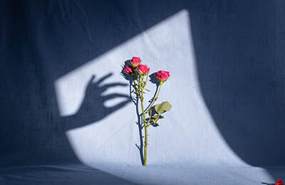 毕业设计达到的效果