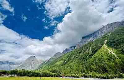 低碳经济林业探索