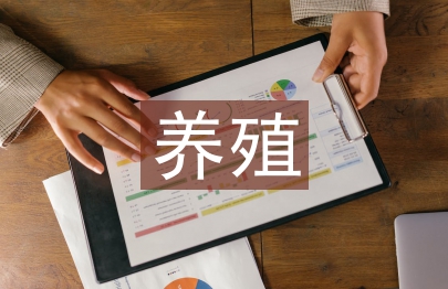 肉牛养殖公司企划方案