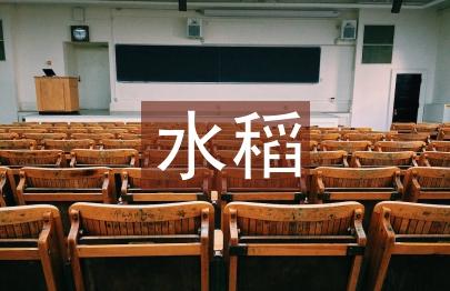 水稻生产技术标准