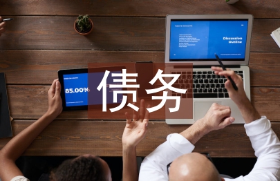 债务审计论文