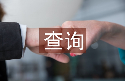 查询申请书