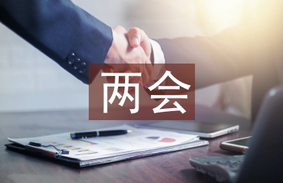 两会论文