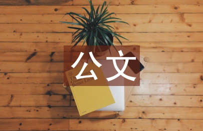 公文事故情况报告