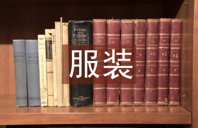 新疆地区服装教育改革分析