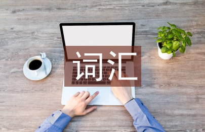 词汇在英语学习中的重要性