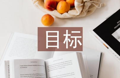 财务管理目标论文