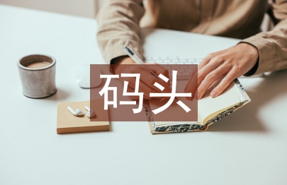 码头施工总结