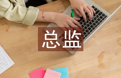 人力资源总监总结