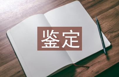 大学生年度鉴定总结