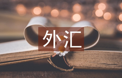 如何进行外汇投资