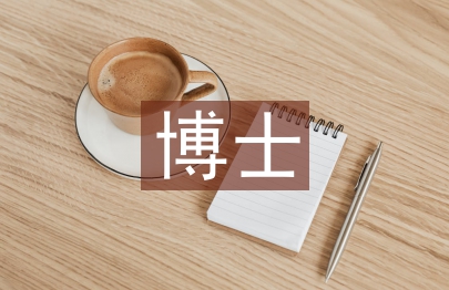 博士研究论文