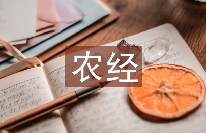 农经毕业论文